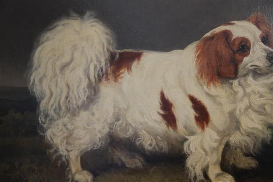 Henry Bernard Chalon (1770-1849) Portrait of a King Charles Spaniel standing in a landscape 27.5 x 35in.